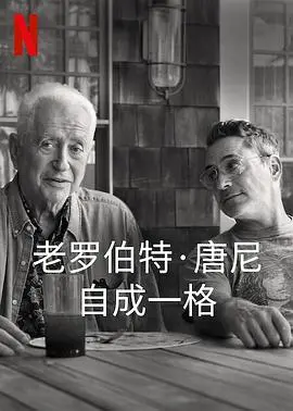 罗伯特唐尼：自成一格 海报