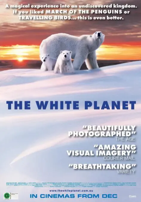 《白色星球》：末日之下，极地动物的生存史诗，一部震撼心灵的环保启示录