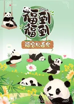 《福到福到福宝见面会》：熊猫顶流福宝回家啦！独家揭秘见面会台前幕后，萌化你的心！